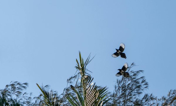 Découvrez les services dentaires variés à québec pour tous !